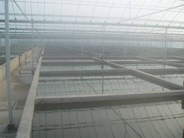 养殖温室